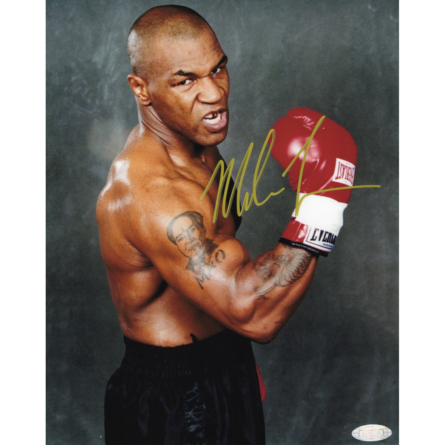 Mike Tyson マイク・タイソン 直筆サイン入り写真STEINER認証